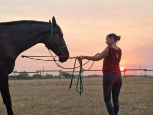 grand cheval avec une fille qui tient un stick d'éthologie