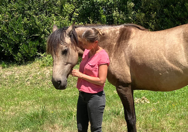 Une femme avec un cheval en train de développer sa confiance en elle