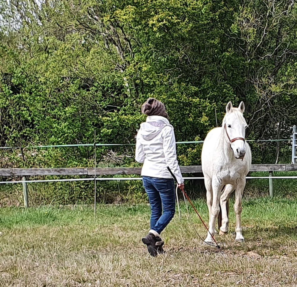Une fille pendant une séance d'équicoaching avec un cheval