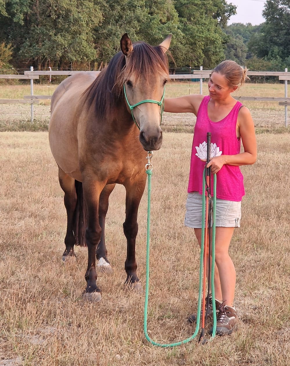 Cours à pied en Gironde entre un cheval et une enseignante d'équitation éthologique 