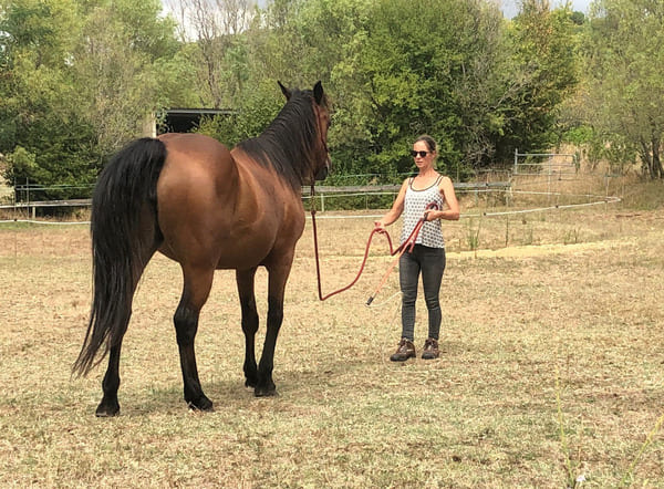 Une femme s'affirme et ose dire non face à un cheval