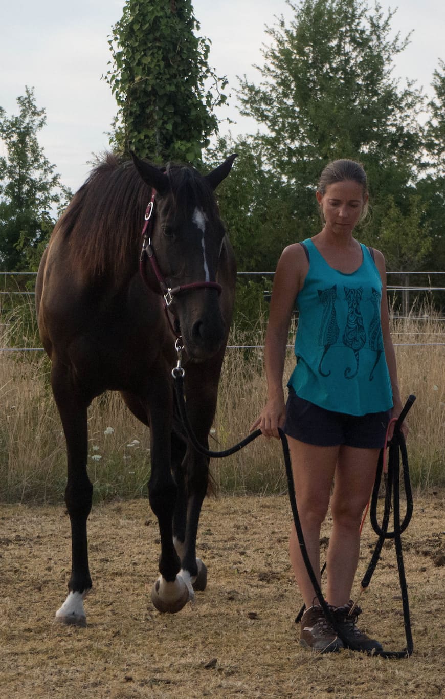 Une enseignante d'équitation débourre une jument 