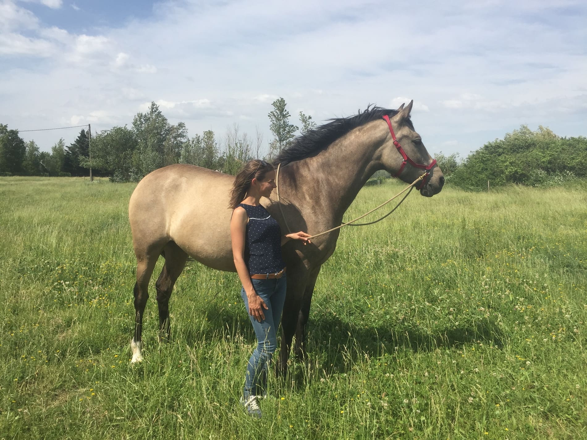 Moment de complicité entre une fille et un cheval en Charente Moment à pied entre une fille et son cheval en Charente