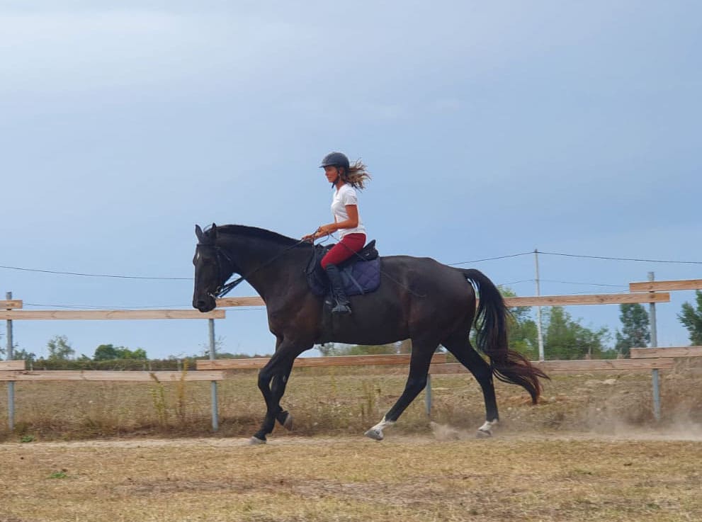 Cours d'équitation en Charente avec l'approche éthologique Monitrice d'équitation pendant une séance à cheval en Charente