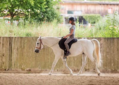 Cours de dressage en Charente Séance de dressage pour une cavalière et son cheval en Charente